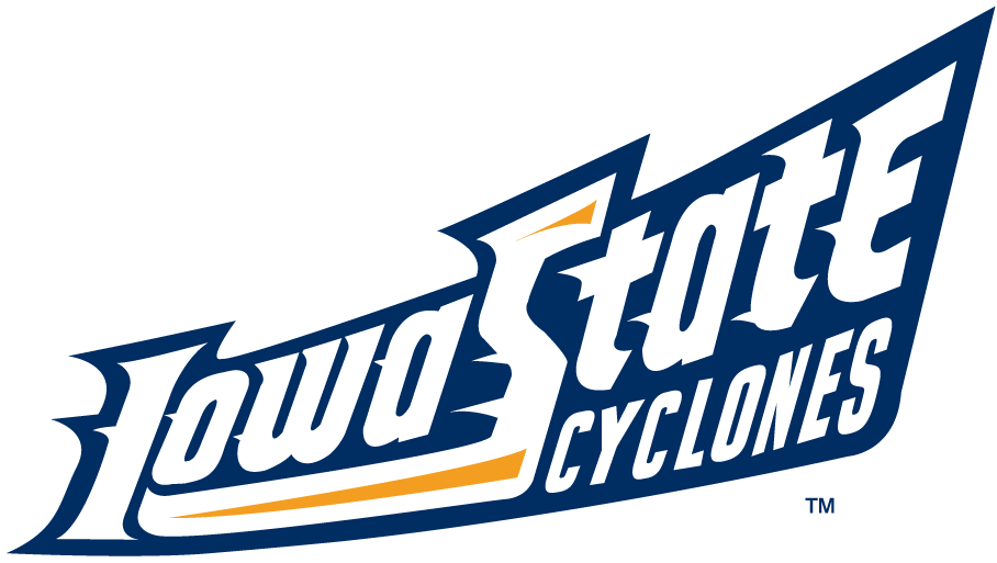 Iowa State Cyclones 1995-2007 Wordmark Logo v7 iron on transfers for T-shirts